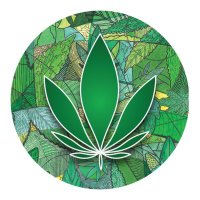 fieldsofgreenforALL.org.za🇿🇦 #DAGGA NPO(@FieldsOfGreenFA) 's Twitter Profile Photo