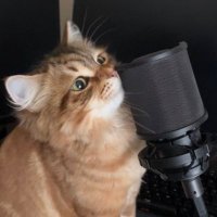 EDLN | Nicon (@brbnicon) 's Twitter Profile Photo EDLN | Nicon (@brbnicon) 's Twitter Profile Photo