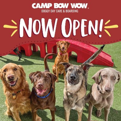 Premier, all-inclusive doggy day care. Live Camper Cams, Medical grade HVAC, Clean and much more! No appointment needed for a tour.