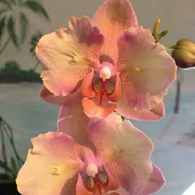 YanayMnez16's profile picture. Funcionaria De Funcionamiento Comité Mcpal del PCC Taguasco