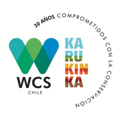 Wildlife Conservation Society - Chile

Trabajamos para vivir en sociedades que se benefician de la integridad de la vida en la tierra.