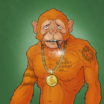 ibry78_Thor's profile picture. TL/DR: Human interested in DeFi and hoping for bull market soon. Oh, and @alphashares is a truly amazing team and community! Come join us!!