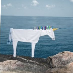 six57852two's profile picture. 