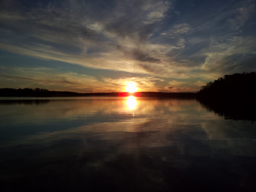 jill4490's profile picture. 