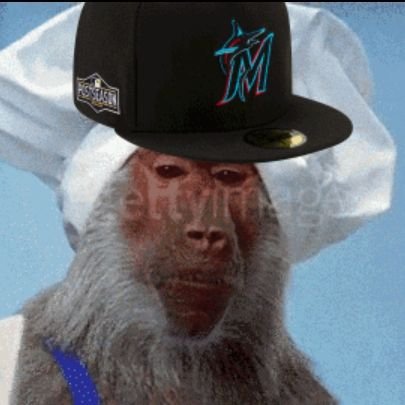 I love the Dolphins/Marlins/Panthers and the Baboon in my pfp