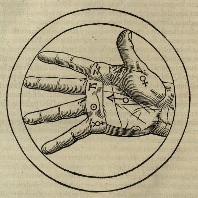 naskoLUDIQ's profile picture. we smokin dung beetle