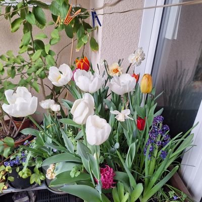 qeqis2950's profile picture. 