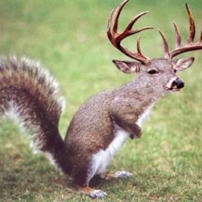 farmingcashcows's profile picture. 