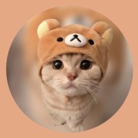 猫さん NYAN Cat RAVE - lol poptart cat by Ephixa & Going Quantum