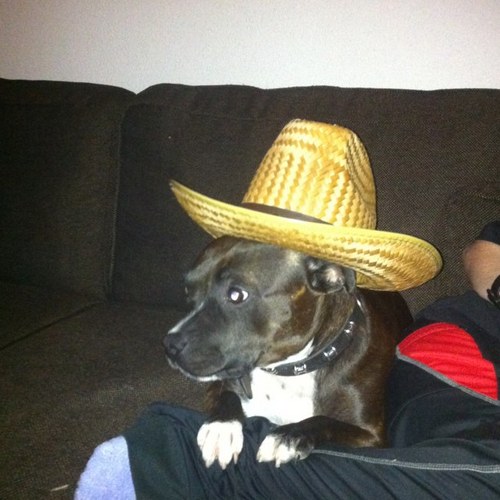 psbk8's profile picture. 