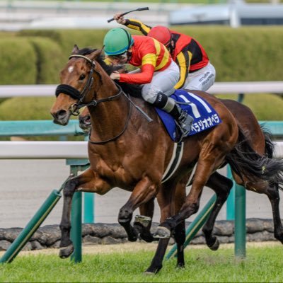 genekisaikyou's profile picture. 大ファンです