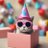 shibfollower's profile image