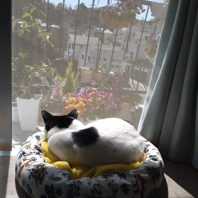 🐾🐱猫好き配達員🐱🐾 Profile