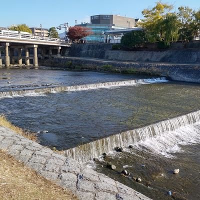 関西出身の関東在中。
趣味…酒、競馬、ウマ娘。
一人飲みできる酒場探してます。