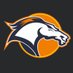 TerritorioBroncos (@TerritoBroncos) Twitter profile photo