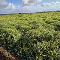 Ahmed Abdella (@ahmedalmuqdishi) Twitter profile photo