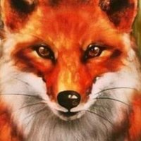 xtudo (@sandubss) 's Twitter Profile