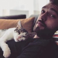 Zilli the cat (@zillithecat) 's Twitter Profile