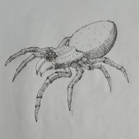nagash (@fprism35545) 's Twitter Profile