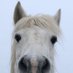 Nicky Turner EYFS (@nickytu49850999) Twitter profile photo Nicky Turner EYFS (@nickytu49850999) Twitter profile photo