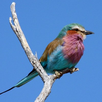 Marynotmartha7's profile picture. 