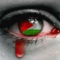 ⓤⓜⓞⓡⓔ🇵🇸ⓐⓢⓚⓔⓐ(@umoreaskea) 's Twitter Profile Photo