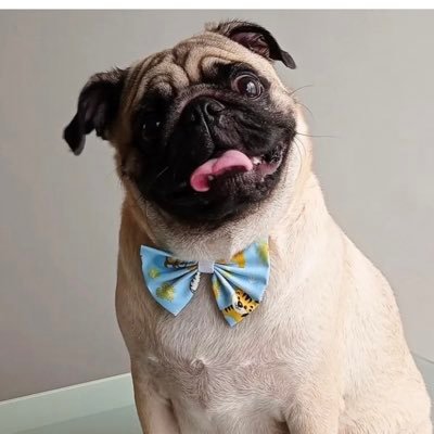 clara_in's profile picture. 