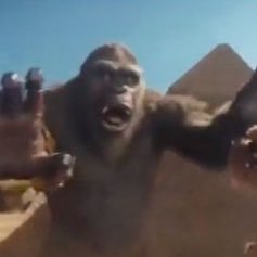 spizDX's profile picture. the most | esports n electronics n whatnot