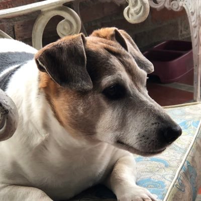 zoil2411's profile picture. 🇮🇹