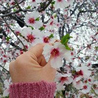 NєѕLíşαh 🇹🇷 (@_neslisah_) 's Twitter Profile