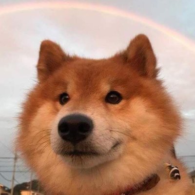 shibadust_'s profile picture. when you

shiba/dusty
21 // they/any