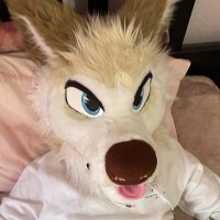 TarFox(@Tarrfox) 's Twitter Profile Photo