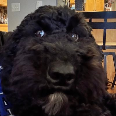 JRGrinnell1975's profile picture. 