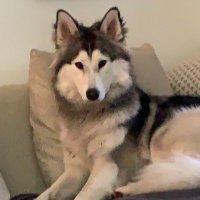 Morter (@mortermaler) 's Twitter Profile