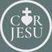 Cor Jesu Press 📚 (@corjesupress) Twitter profile photo