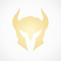 VALKYRIE(@ValkyrieLLC) 's Twitter Profile Photo