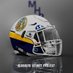 Missouri Helmet Project (@HelmetMissouri) Twitter profile photo