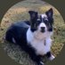 Penelopesire (@penelopesire1) Twitter profile photo Penelopesire (@penelopesire1) Twitter profile photo