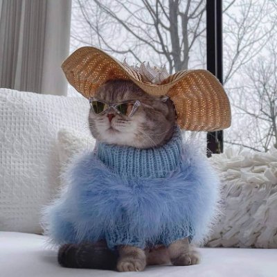 GirardNatgi's profile picture. 