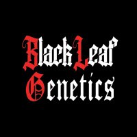 BlackLeafGenetics (@blkleafgenetics) 's Twitter Profile