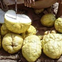 تسويق المنتجات السعوديةو اليمنيه بأنواعه (@rozr0zya7gffwtk) Twitter profile photo