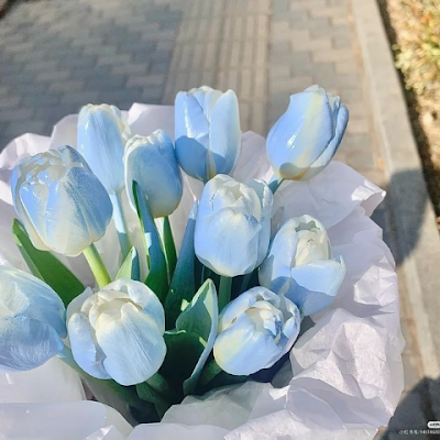 AinFarhani33323's profile picture. 