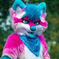 Shinzu(@ShinzuFoxx) 's Twitter Profile Photo