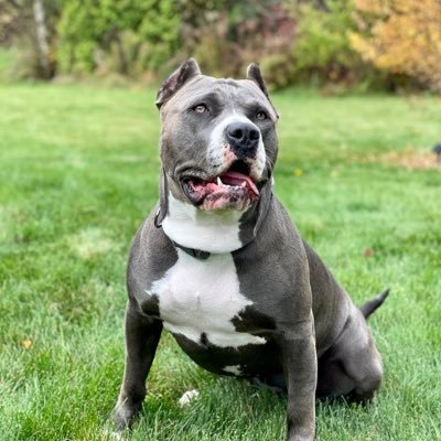 Mike17126682032's profile picture. just hanging in hopefully it all pays off for everyone to receive generational wealth, wisdom and freedom