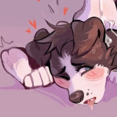 furry! esp/eng • rp and irl hot pics🔞 • cute feminine boy • good girl~🤍 • pfp not mine ^w^ • no minors! • mascota de @SakatoSnowyn🐾 mi amo: @LuenBear🐾