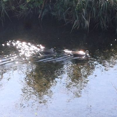 kendo014380's profile picture. 