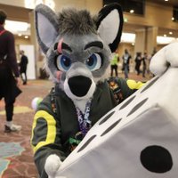 Jayke da Singin' Wolf (@jaykedawolf) 's Twitter Profile