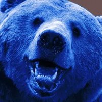 Cash Jones (@bluebear1966) 's Twitter Profile