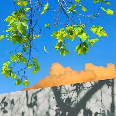 chenhui2019's profile picture. 萌新