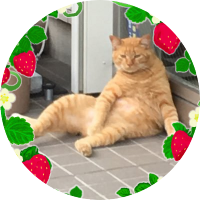 さくら🌸🍯 (@sakura_honeyyy) Twitter profile photo